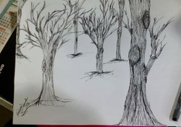Desenho a tinta de árvores despidas.